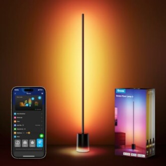 Govee Floor Lamp 2