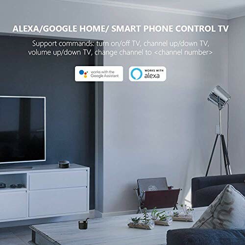 Living room with TV showing smart home voice control options for Alexa and Google Assistant.